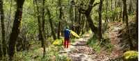 Forest Trails, Peneda Geres National Park, Portugal
