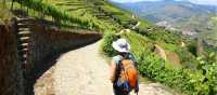 Hiking in the Douro Valley
