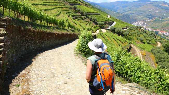 Hiking in the Douro Valley