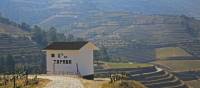 Walking through the stunning Douro vineyards