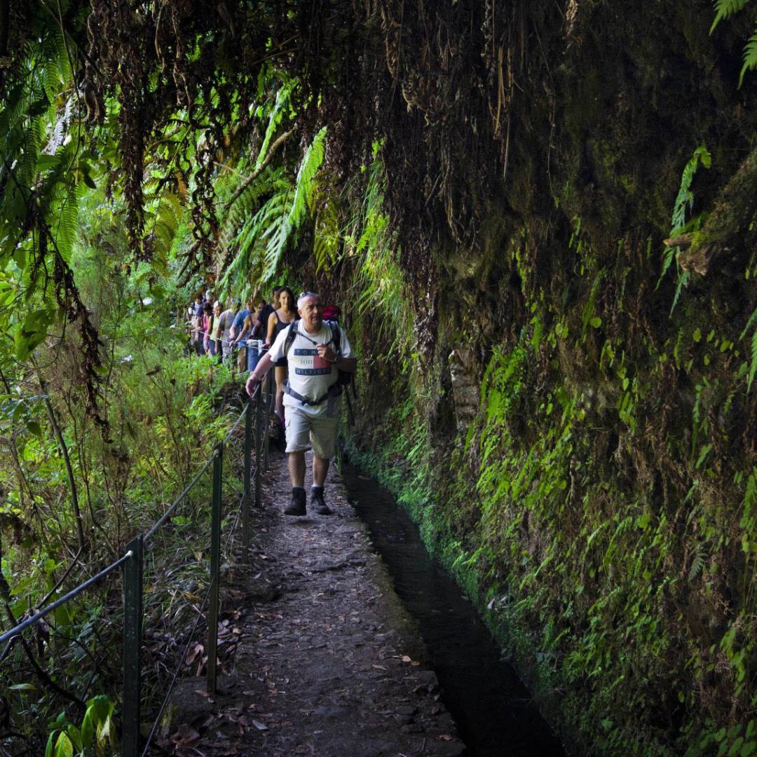 Levada Caldeir+úo Verde 2_Credit -®Tiago Sousa-AP Madeira