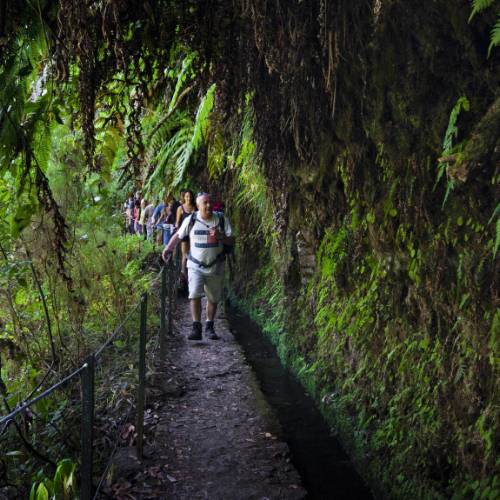 Madeira Guided Walking Holiday Small Group Hiking Tour in Portugal