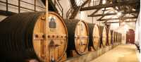 Port Barrels, Douro Valley