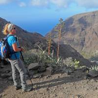 A walker takes in the view above Valle Gran Rey | John Millen