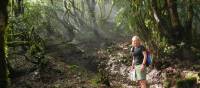 A hiker in the forest below Bar La Vista | John Millen