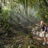 A hiker in the forest below Bar La Vista | John Millen