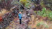 Walking in the forest near to Garajonay