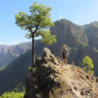 View point near Pico Bejenado | John Millen