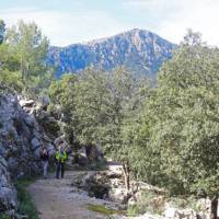 Hiking in Mallorca