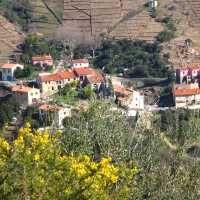El Rimbau