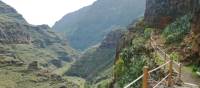 The path through the Barranco de Guarimiar gorge on La Gomera