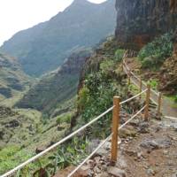 The path through the Barranco de Guarimiar gorge on La Gomera