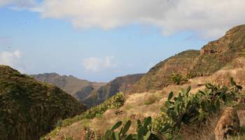 Near Les Hayas in La Gomera in the Canary Islands