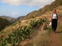 Near Les Hayas in La Gomera in the Canary Islands