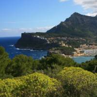 View over the trees to Puerto Soller | John Millen