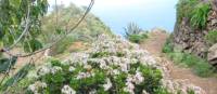 Coastal paths on Tenerife