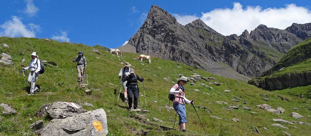 Descending  towards Busalp |  John Millen