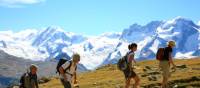 On the Via Alpina trail