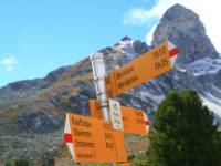 Typical Swiss Bergweg Trail sign |  <i>John Millen</i>
