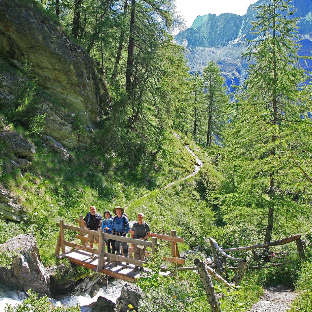Walkers on the route from Arolla | John Millen