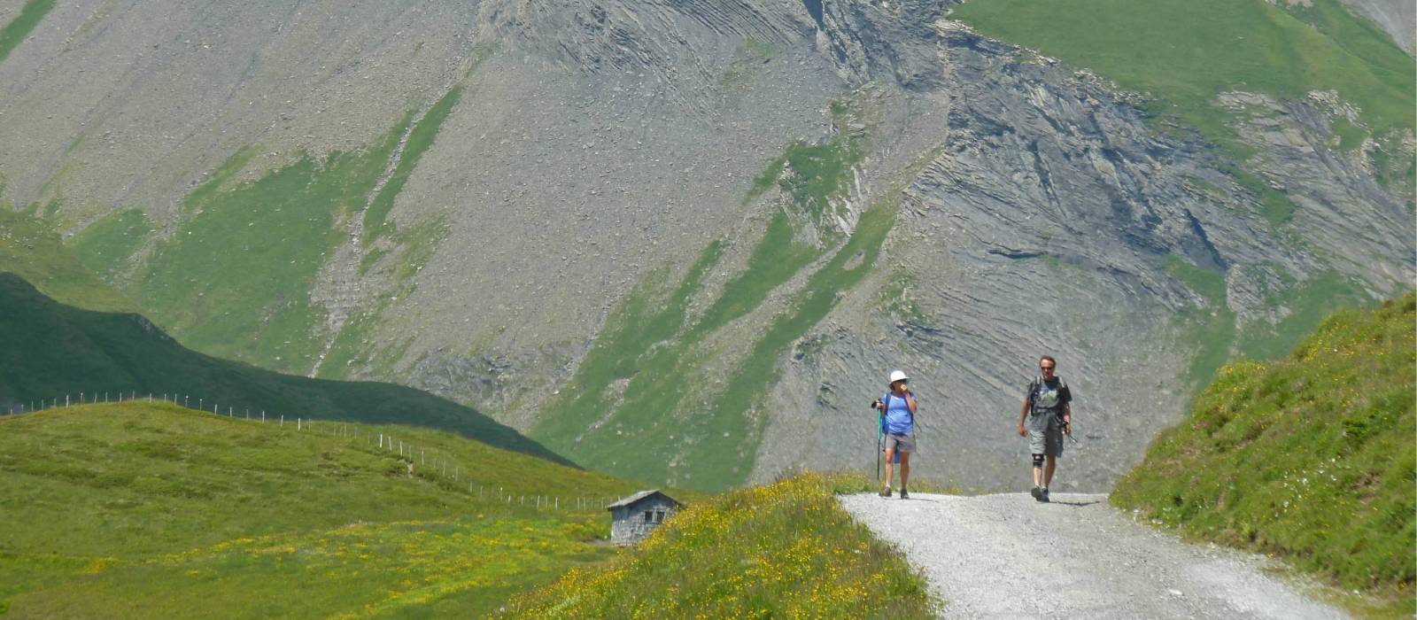 Broad trail near the Schwarzhorn | John Millen