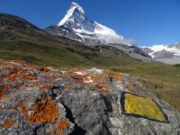 Waymarking on the Bernese Oberland |  <i>Jon Millen</i>