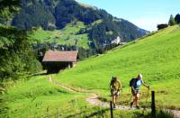 On the way to Trutlisberg Pass