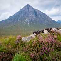 The rugged and colourful terrain of Glencoe
