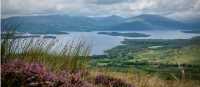 The famous Loch Lomond in all its wild and colourful landscape