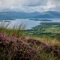 The famous Loch Lomond in all its wild and colourful landscape