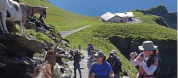Classic hiking in Switzerland's Bern region | John Millen
