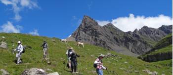 Tips about hiking in the Bernese Oberland | John Millen