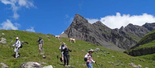 Tips about hiking in the Bernese Oberland | John Millen
