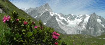 Above Refuge Bonatti, Tour Du Mont Blanc | Ray Wilkinson