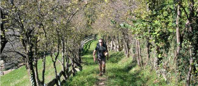 There is often a lot of shade on The Chestnut Trail | John Millen