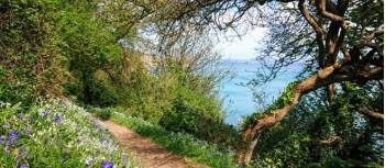 Bluebells & blue waters on a Guernsey walking trip | Nathalie Thomson