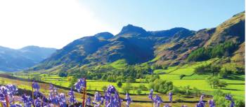 Bluebells and the pikes, Great Langdale | John Millen