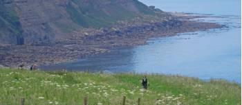 The coastal path at the start of the Coast to Coast | John Millen