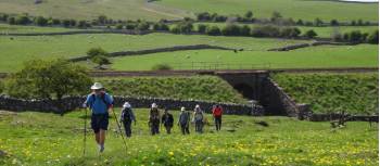 On the Coast to Coast trail towards Kirkby Stephen | John Millen