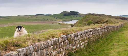 Know about the UK ETA before you go | Joe Dunckley