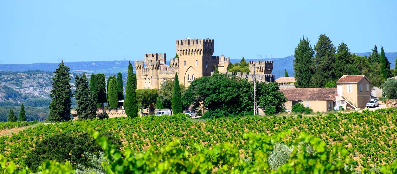 Vineyards of Chateauneuf du Pape appellation with grapes growing on soils with large rounded stones galets roules, lime stones, gravels, sand and clay, famous full body red wines, France | barmalini
