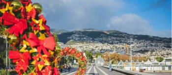 Christmas is a fantastic time to spend in Madeira | Monika Guzikowska