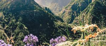Scenic walking on the island of Madeira | Chris Marchant